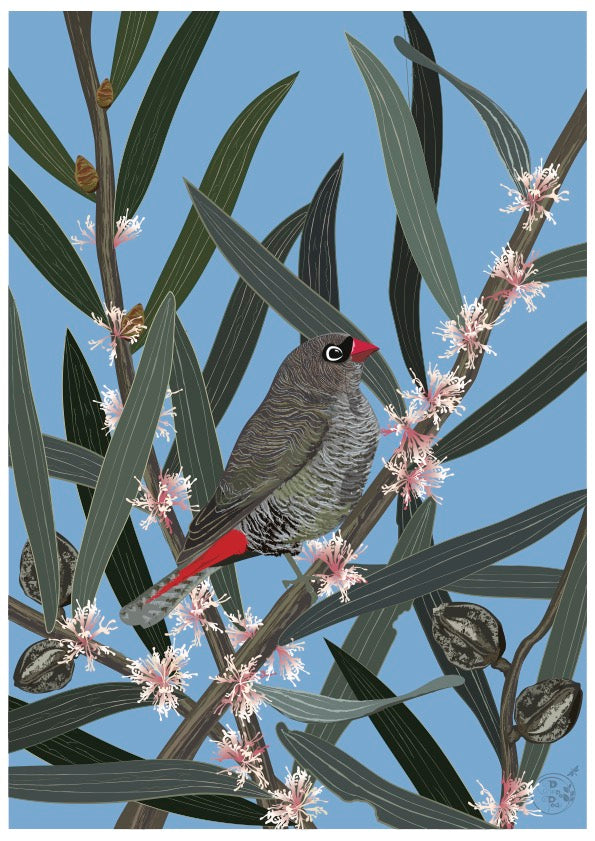 Pip and Pod A Year of Birds and Blooms 2027