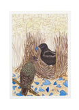 Two birds in a nest with a blue object, surrounded by a patterned background