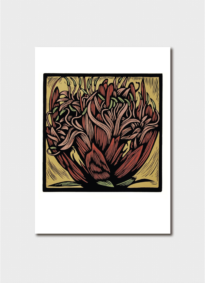 Red gymea lily flower on a yellow bacground.