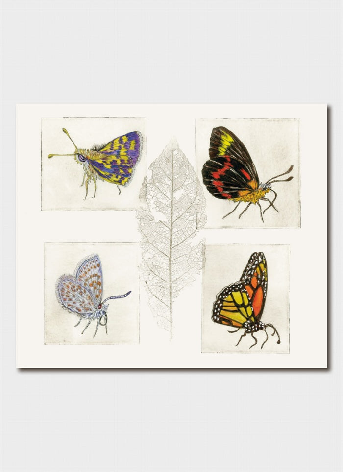 Minky Grant art card - Endangered and Threatened : Butterflies