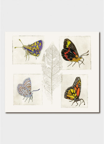 Minky Grant art card - Endangered and Threatened : Butterflies