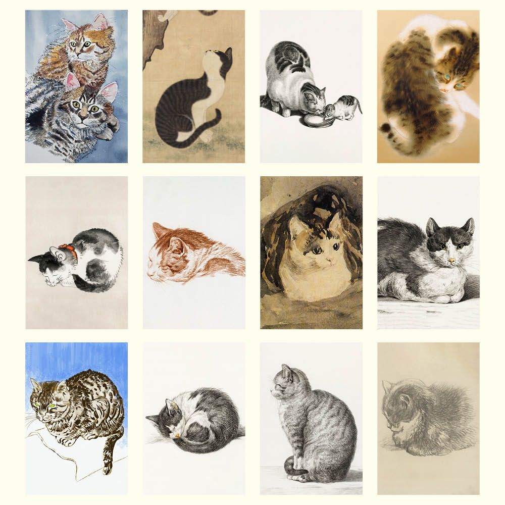 Grid of various illustrations of cats in different poses and styles.