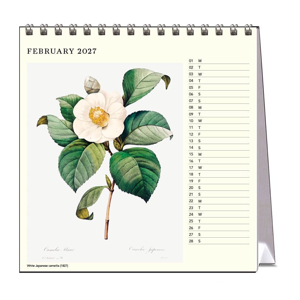 Calendar for February 2027 with a floral illustration on a white background