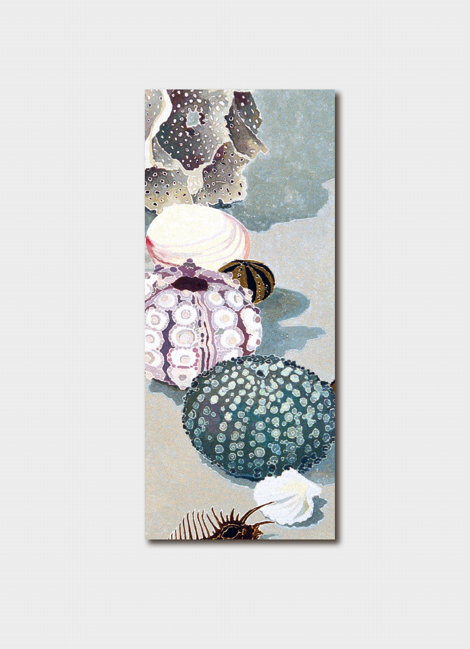 A vertical rectangular art print featuring a still-life illustration of seashells and sea urchins in muted pastel tones, shown against a light gray background.