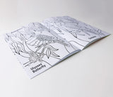 Australian Animals Colouring Book