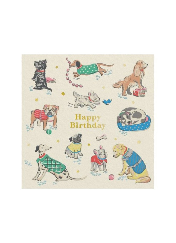 Different dog breeds in beds, wearing jackets and with toys, food and books on a card with words Happy Birthday in gold lettering