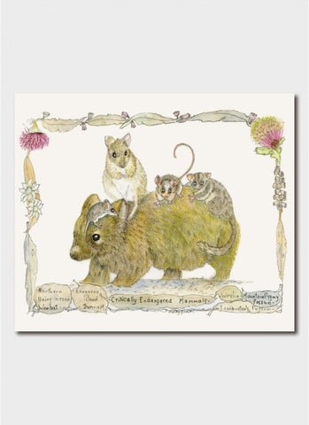Minky Grant art card - Critically Endangered: Mammals