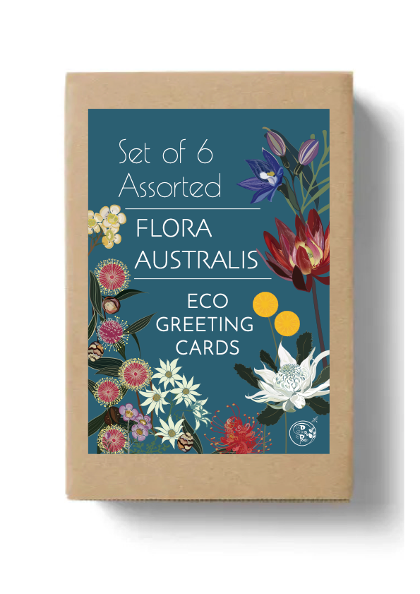 Brown box with a green label with colourful Australian native flowers. Pip and Pod Flora Australis Box Set.