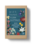 Brown box with a green label with colourful Australian native flowers. Pip and Pod Flora Australis Box Set.