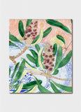 Gabby Malpas - Banksia