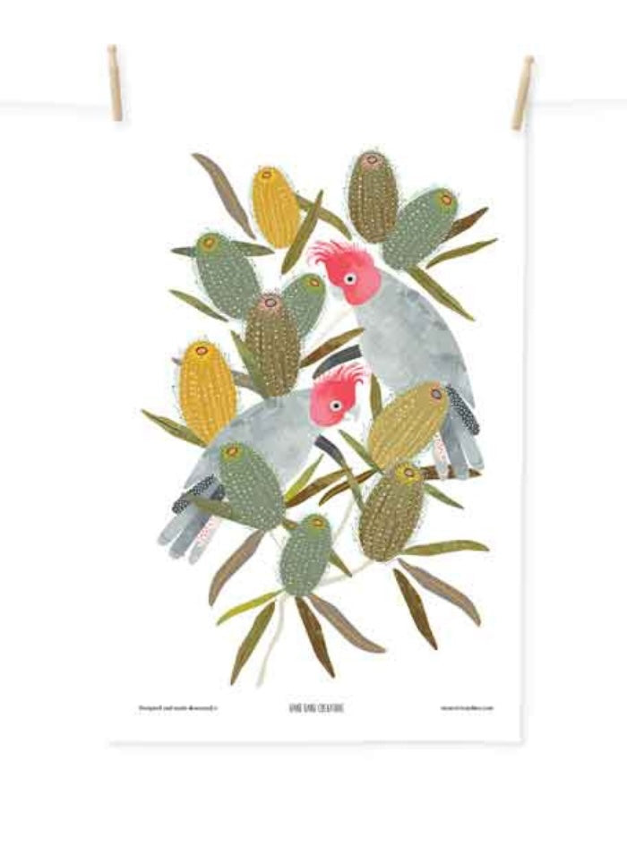 Poster of colorful cockatoos on a branch with a white background