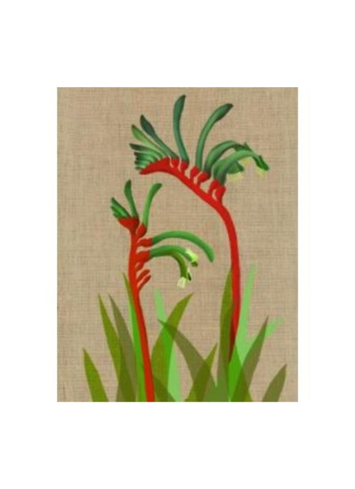 A red and green kangaroo paw flower on a brown background.