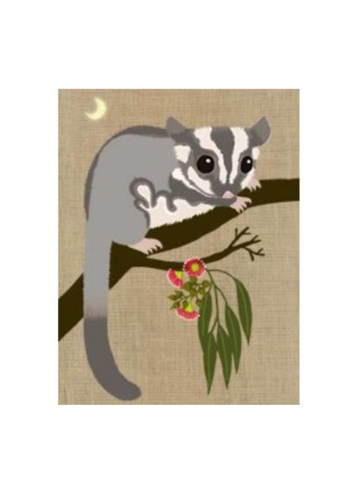 Sugar glider in grey and white on tree branch with brown background.