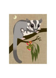Sugar glider in grey and white on tree branch with brown background.