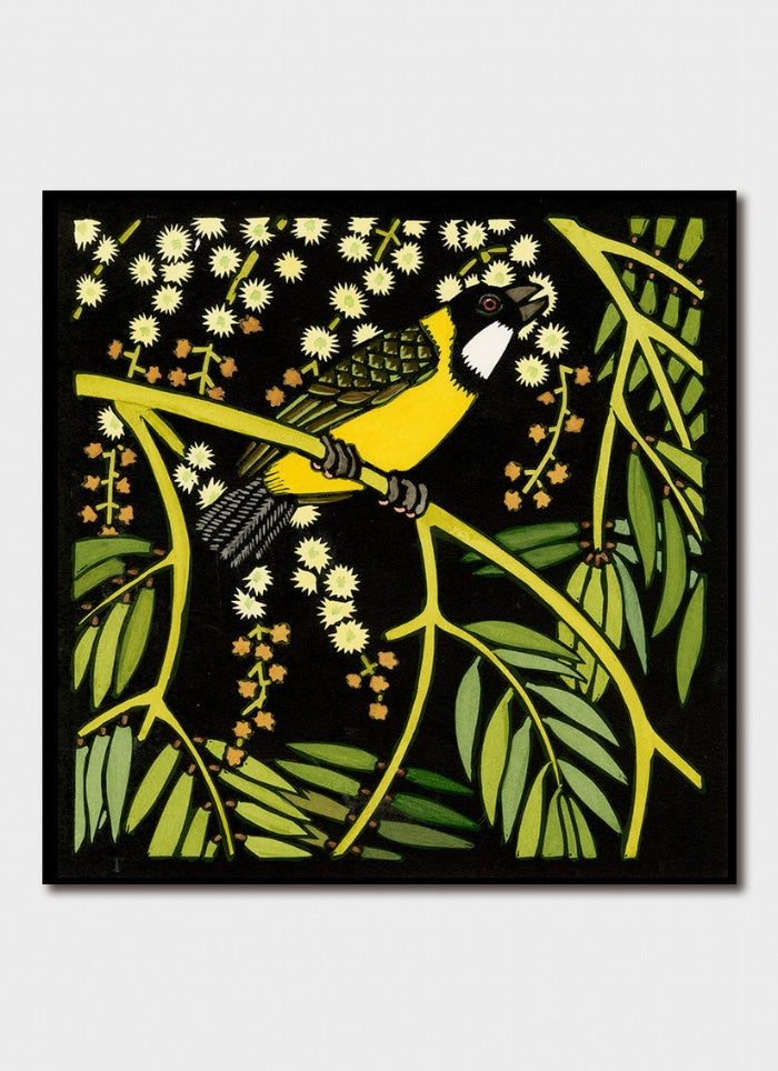 A yellow bird sitting on yellow brances with green leaaves and cream flowers on a black background.