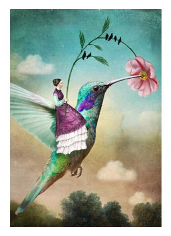 Catrin Welz-Stein Card - Hummingbird