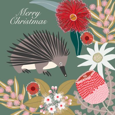 A square Christmas Card with an echidna on a green background with native flowers and the words Merry Christmas.