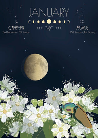 Astronomical poster for January with a moon, flowers, and a bird on a dark background.