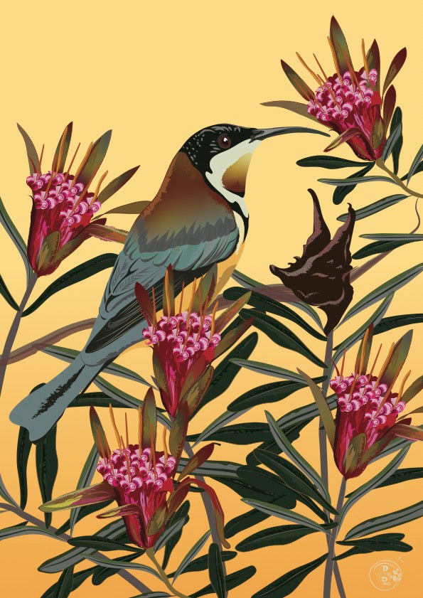 Pip and Pod A Year of Birds and Blooms 2027