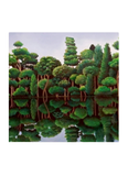 A Jude Rose art card with a river showing the reflection of green trees on the opposite shore.