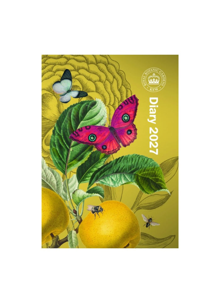 Yellow background with a pink butterfly and yellow fruit.