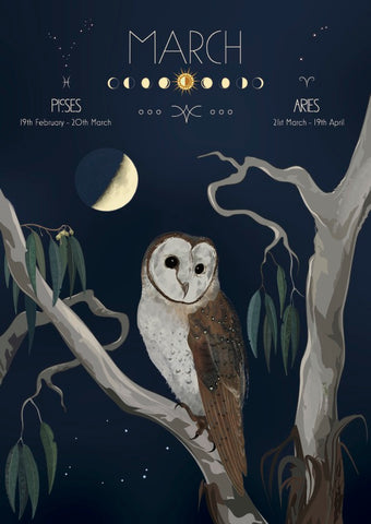Illustration of an owl on a branch with March astrological information and moon phases.