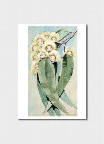 May Gibbs Art Card - Front Cover Gum-Blossom Babies
