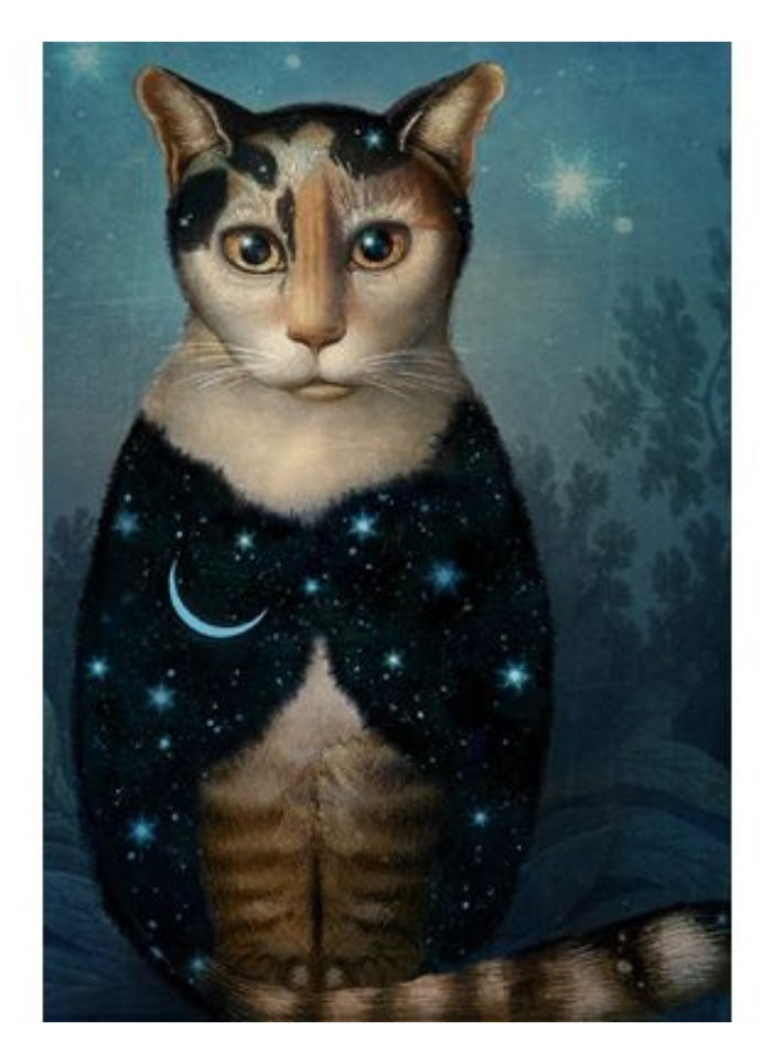 Cat wearing a cape covered in stars and a moon on a dark background.