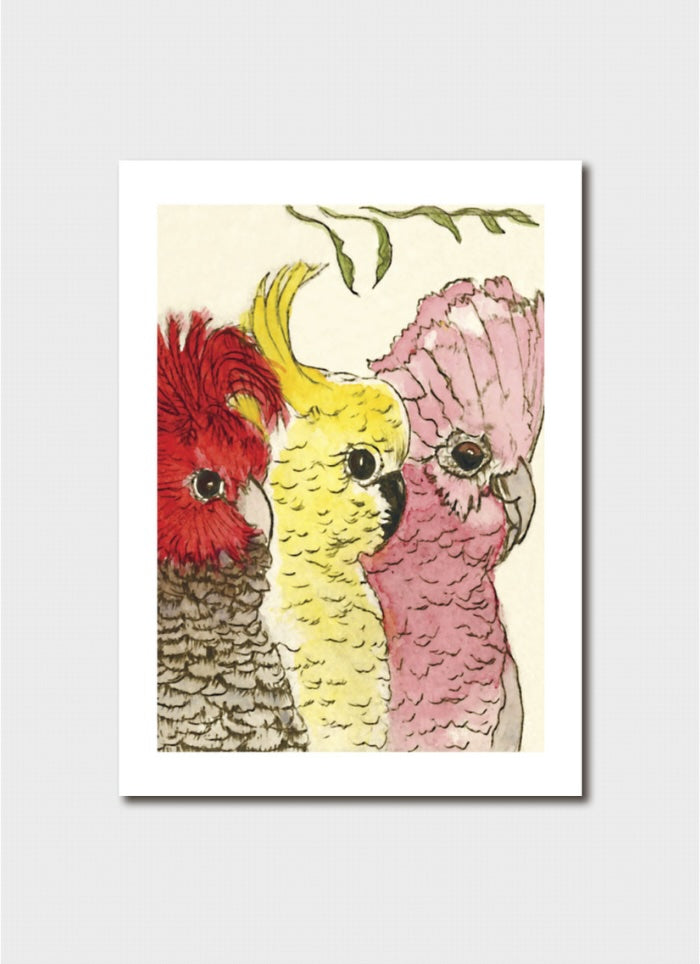 Minky Grant Art Card - Aussie Birds