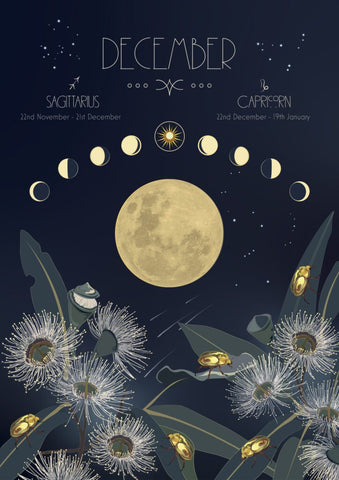 December page from Pip and Pod by Emma Miszalski 2026 Moon Wall Calendar.