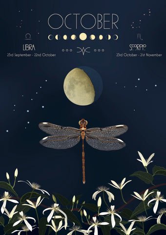 A celestial design with a dragonfly, moon, and starry night sky, featuring the word 'October' and astrological signs.