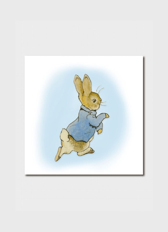 Illustration of a rabbit character in a blue coat on a white background