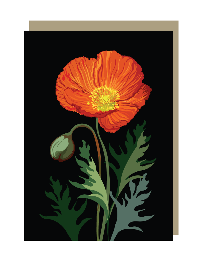 Greeting card with a red poppy flower on a black background