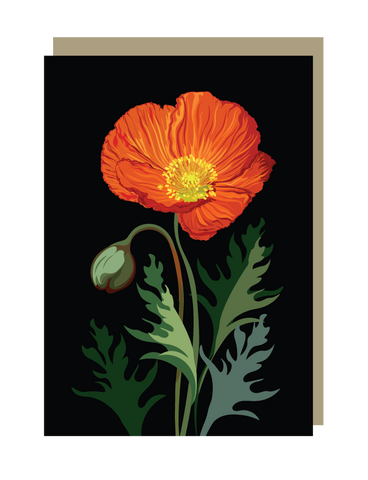 Greeting card with a red poppy flower on a black background