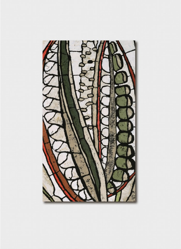 Pod & Pod - Promise – Telopea Pods (Detail)