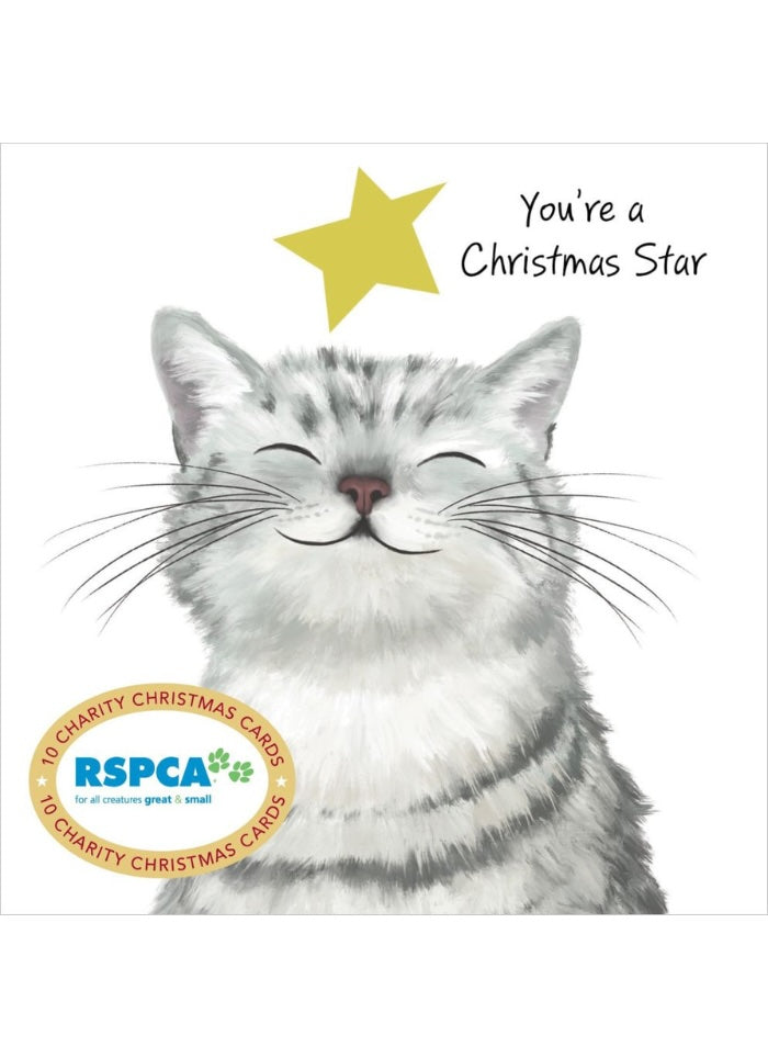 A Christmas-themed charity card featuring a white and gray tabby cat with closed eyes under a yellow star, with the text 'You're a Christmas Star' and an RSPCA logo badge at the bottom left.