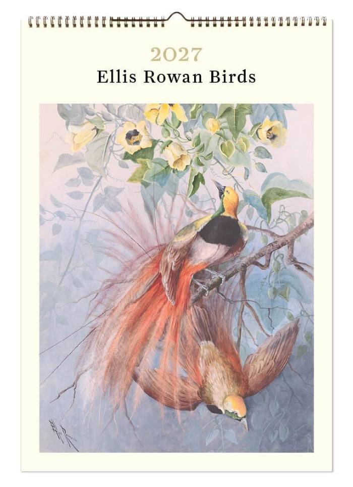2027 Ellis Rowan Birds calendar with a colorful bird illustration on a white background