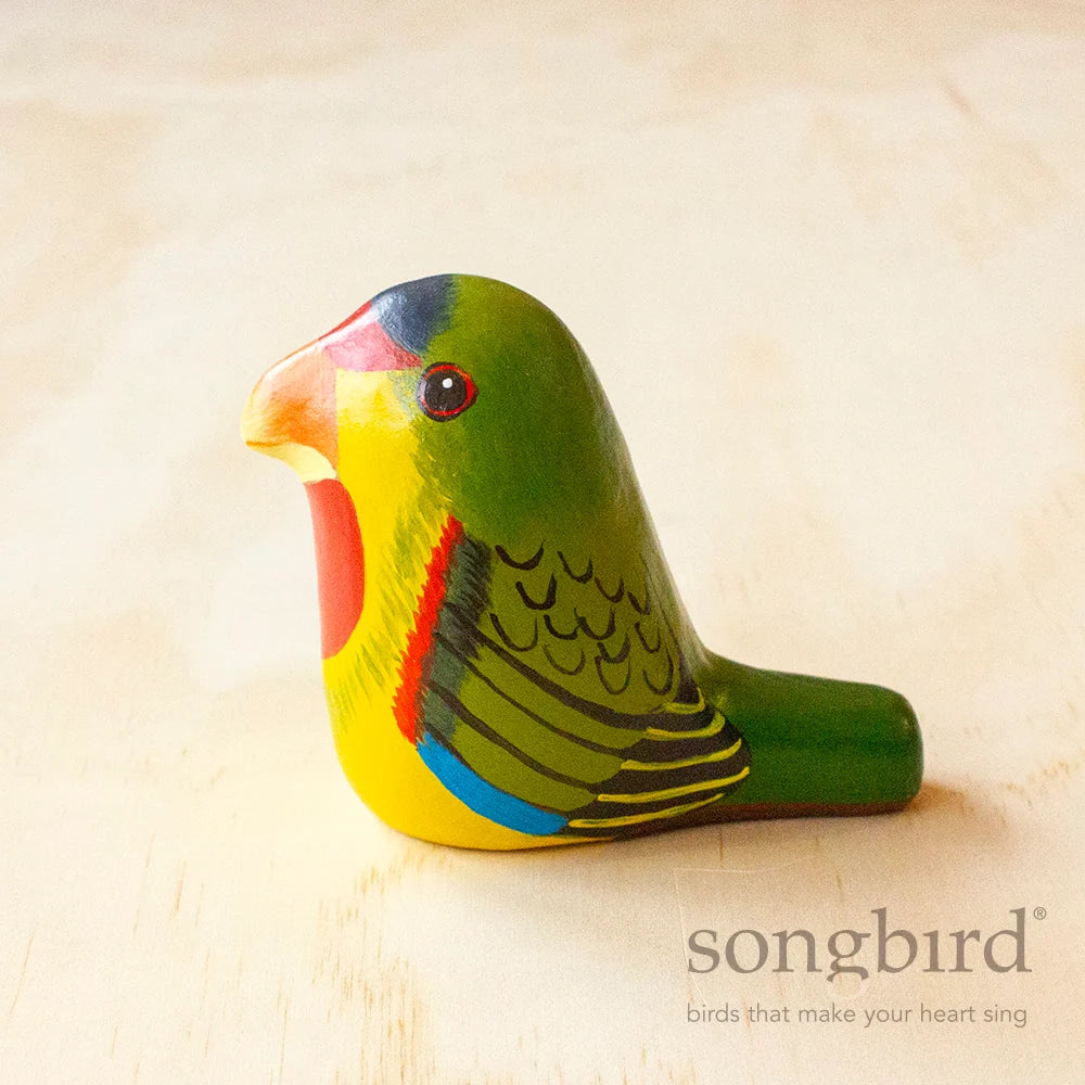 Colourful bird - Songbird Swift Parrot Paperweight.