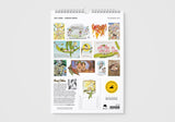 Calendar with illustrations on a white background