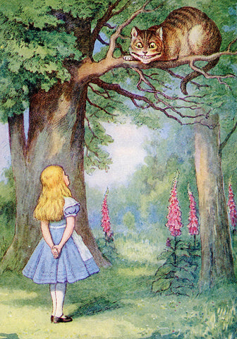 Illustration of a girl looking up at a cheshire cat in a tree