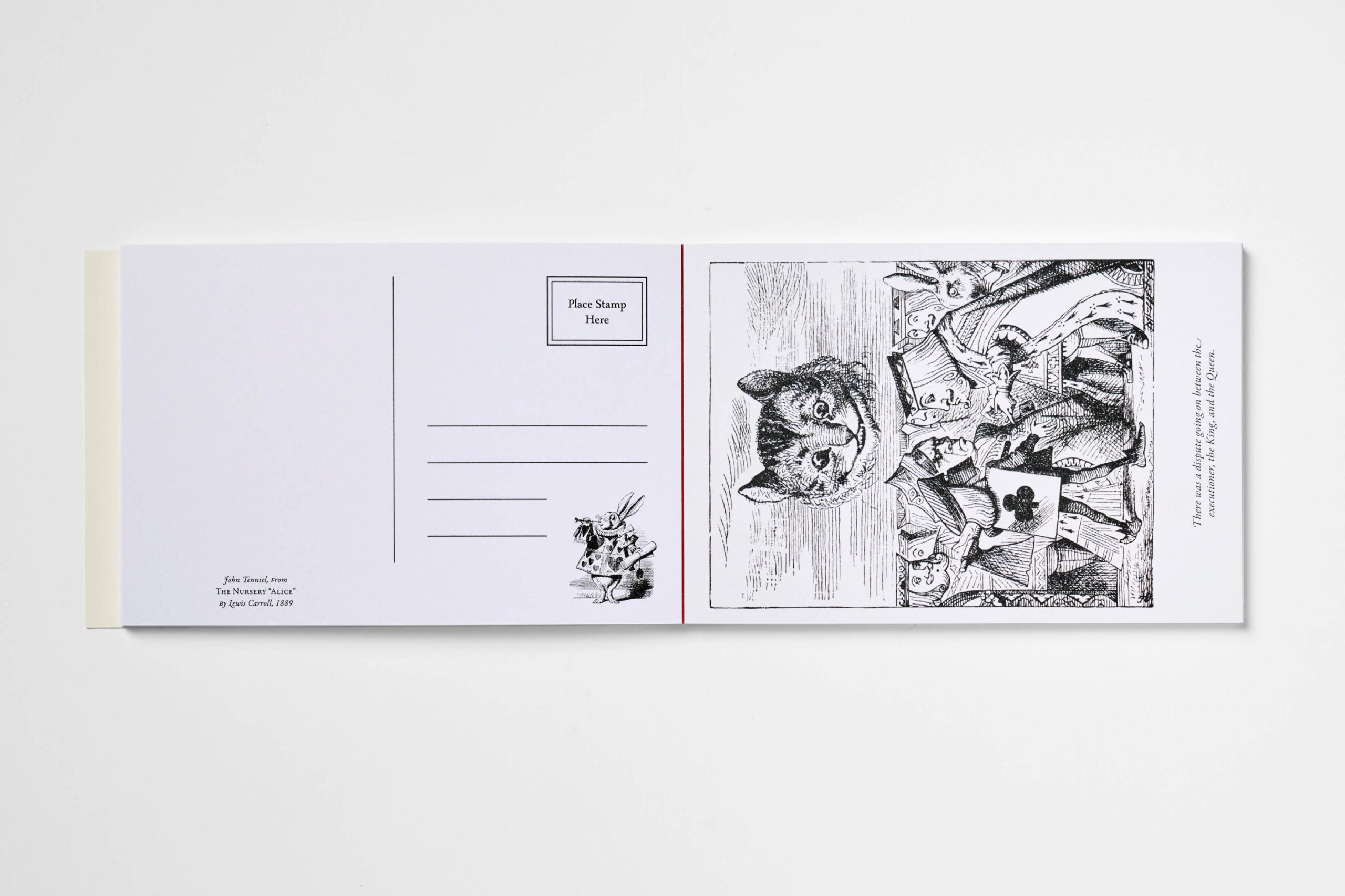 A postcard set featuring Albert Einstein's famous cat illustration on one side and a postcard stamp design on the other, displayed flat against a light gray background.