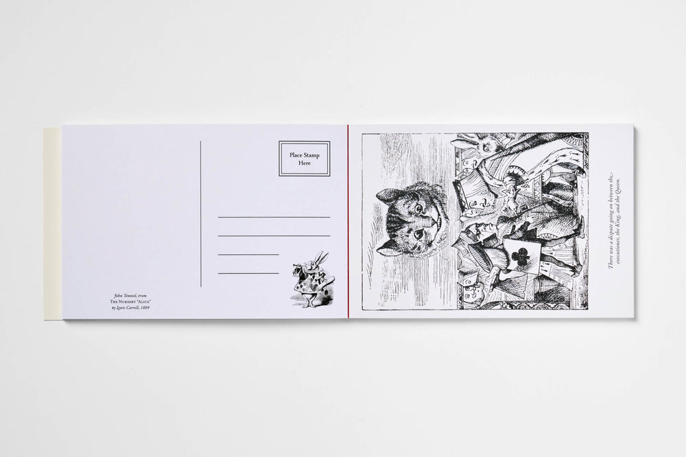 A postcard set featuring Albert Einstein's famous cat illustration on one side and a postcard stamp design on the other, displayed flat against a light gray background.