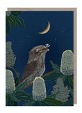A dark blue card with a moon in the background, native flowers and a tawny mouth owl.