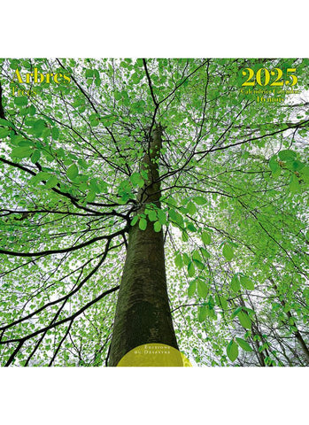 Trees Wall Calendar 2025