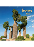 Calendar cover featuring a group of tall trees with a blue sky background, Tushita brand visible.