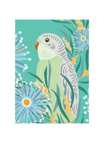 Christie Williams - Turquoise Budgie