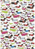 Dachshund by Cat MacInnes - Wrapping Paper