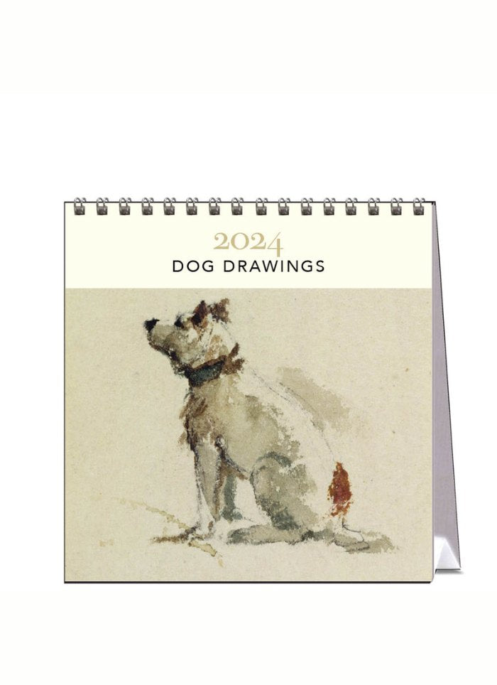 Dog Drawings Desk Calendar 2024