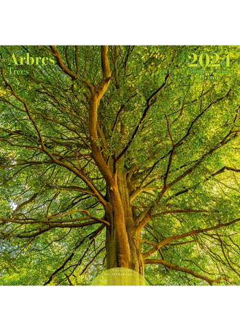 Trees Wall Calendar 2024