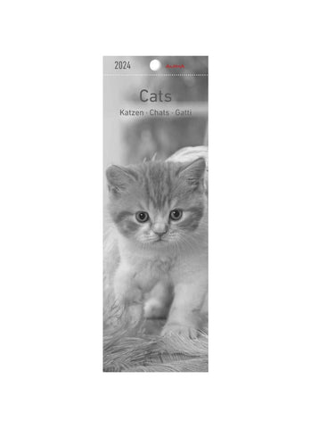 Cats Bookmark Calendar 2024